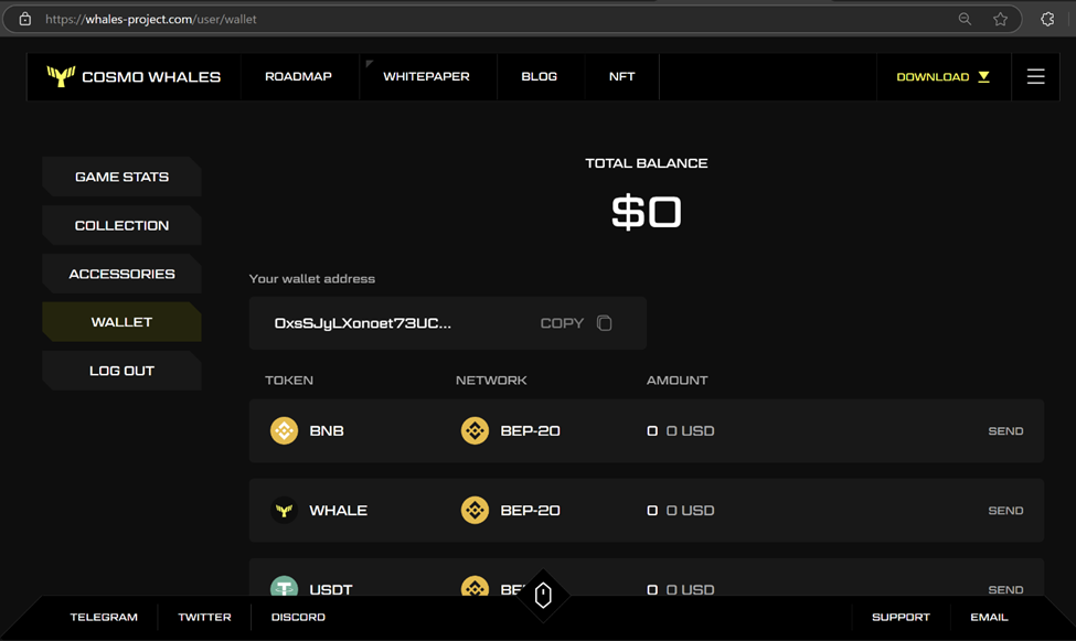 Website fake wallet